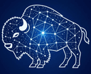 Bisonary