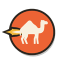 Camel Race