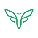 Cicada Team