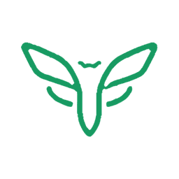 Cicada Team