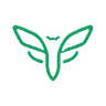 Cicada Team