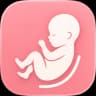 Pregnancy Tracker Kick Count