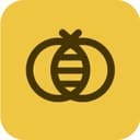 Beelink.io – Professional Video Networking Platform (Pre-Launch, Ready to Scale)