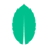 MintAPI