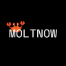 Moltnow