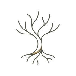 Roots: Daily Philosophy