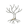 Roots: Daily Philosophy