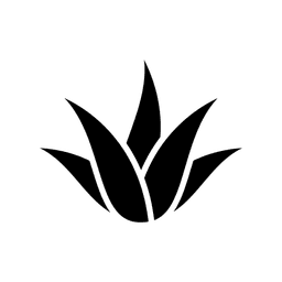 Vera