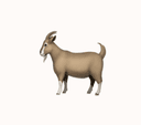 whoisthegoat