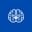 brainsynex