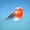 Birdy | Bird Identifier