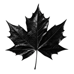 Nicotine Pouches Canada