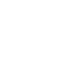 Hairstyle View