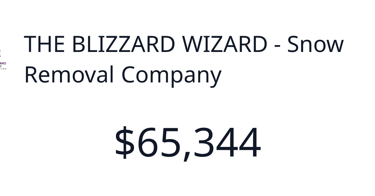 THE BLIZZARD WIZARD - Snow Removal Company - Verified revenue | TrustMRR